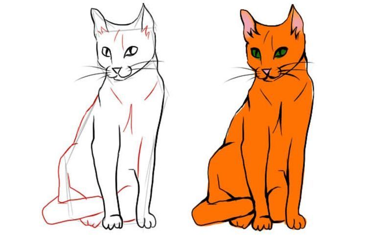 Как нарисовать сидячую кошку в полный рост