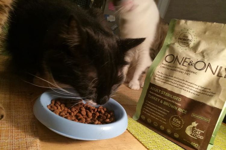 Кошка ест корм One&Only