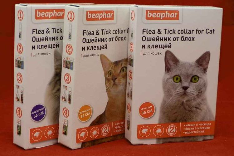 Беафар (Beaphar) - ошейник для кошек | отзывы, цена