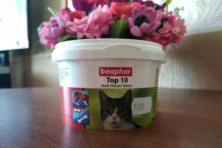 Витамины Beaphar для кошек: 5 популярных видов, отзывы