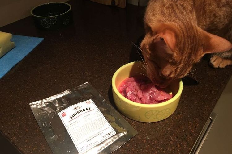 Кот ест натуральный корм Superpet