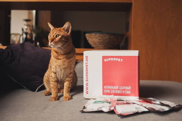 Суперпет - храна за котки