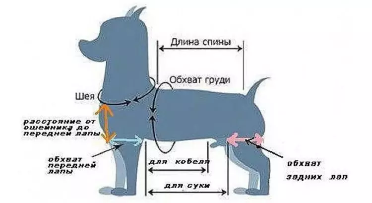 Описание вязания свитера для собаки любого размера.