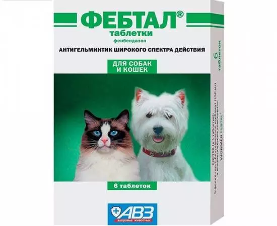 Габапентин для кошек: инструкция по применению | отзывы, цена, доза