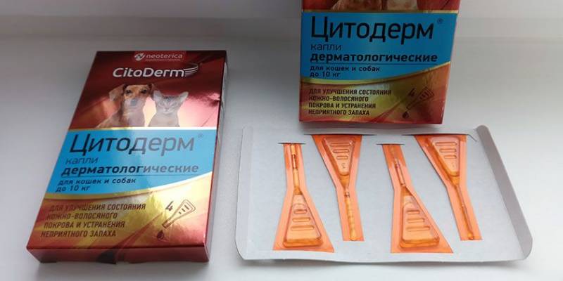 Цитодерм - капли для собак | инструкция, отзывы, цена