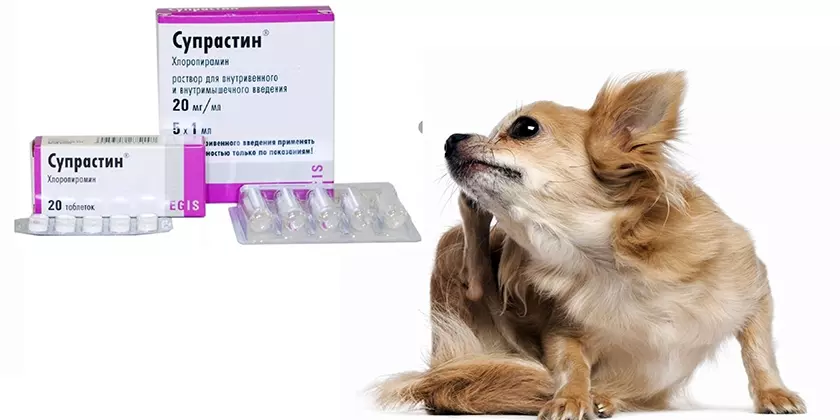 как давать супрастин собаке при аллергии дозировка в таблетках