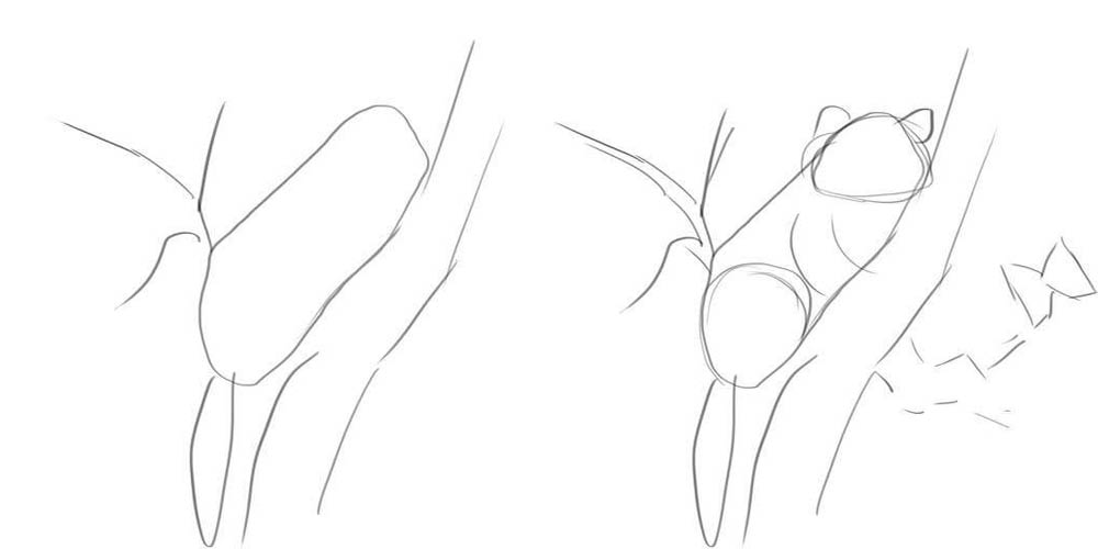 Как нарисовать енота на дереве - пошаговая инструкция