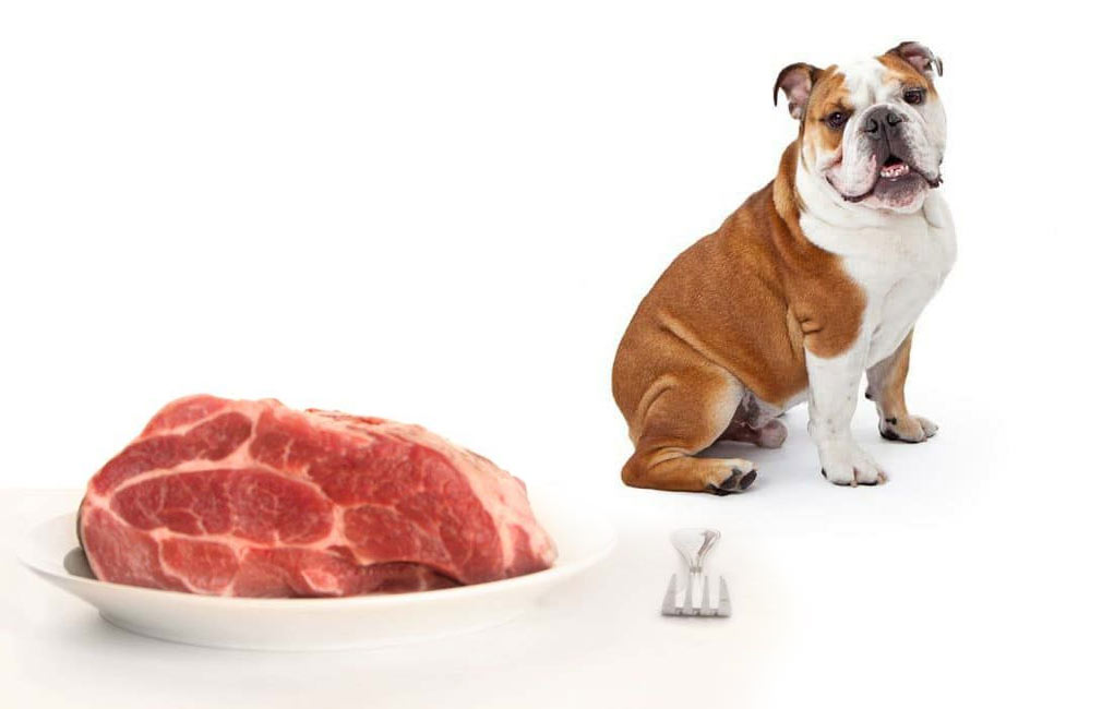 можно ли собакам сырое мясо свинины