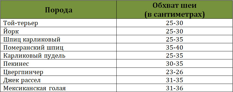 Размер ошейника для собак: таблица таблица для средних пород