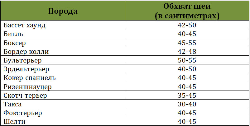 Размер ошейника для собак: таблица таблица для мелких пород