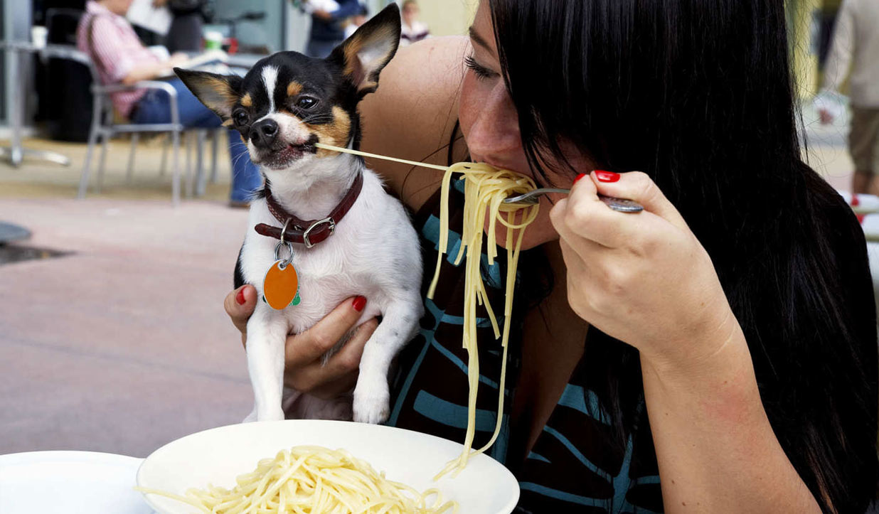 собака и хозяйка едят макароны