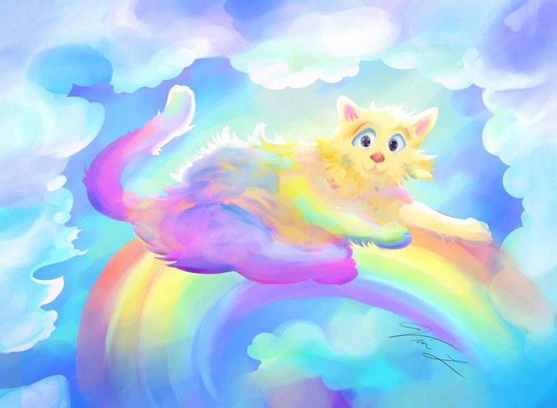 Рисунок котик на радуге