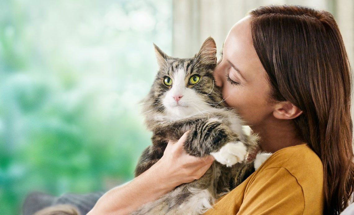Что влияет на запах кошки