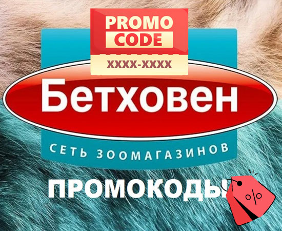 Зоомагазин Бетховен: как выгодно делать покупки через промокоды