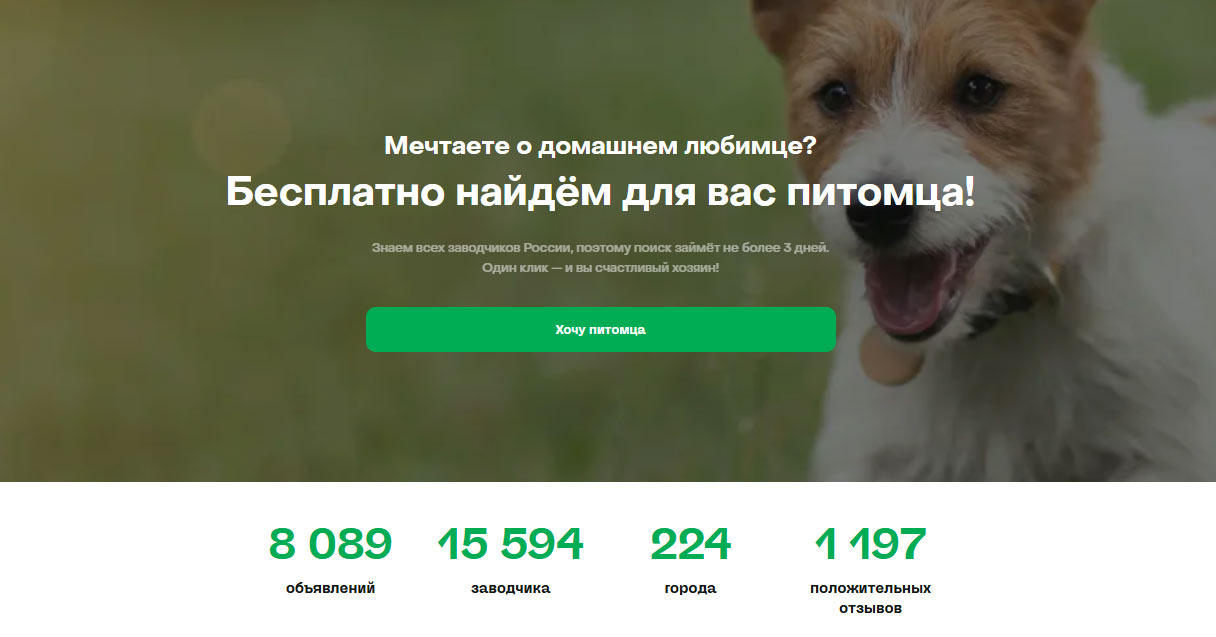 Pet-Yes - бесплатная помощь в выборе питомца