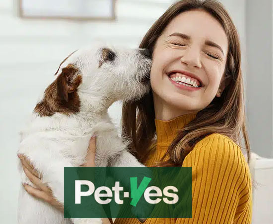 Подбор питомца на Pet-Yes