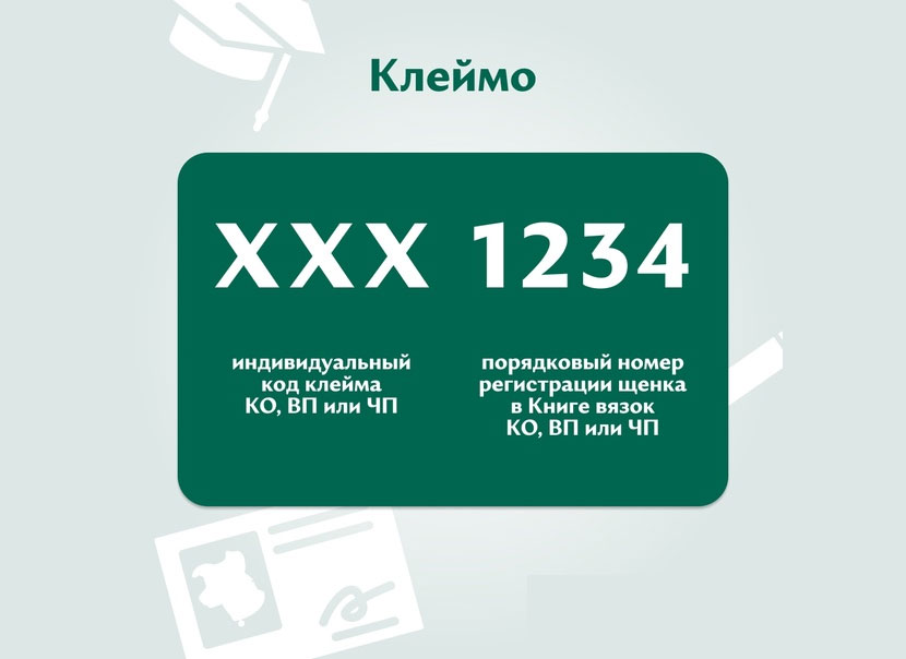 Как расшифровать клеймо у собаки