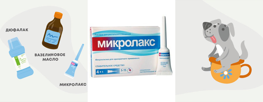 Микроклизмы для собак